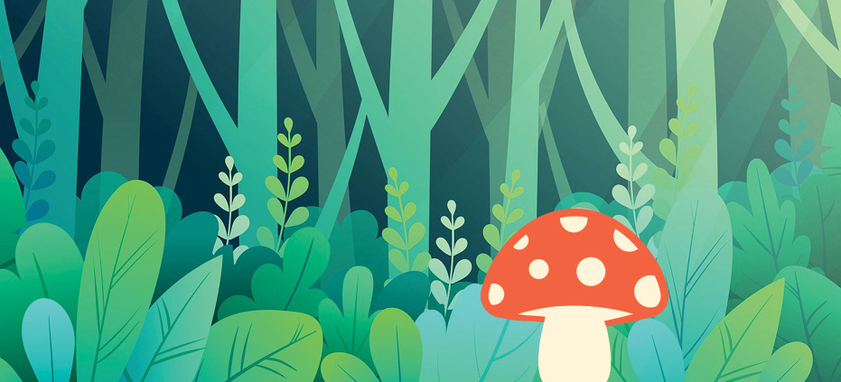 Woods with mushroom